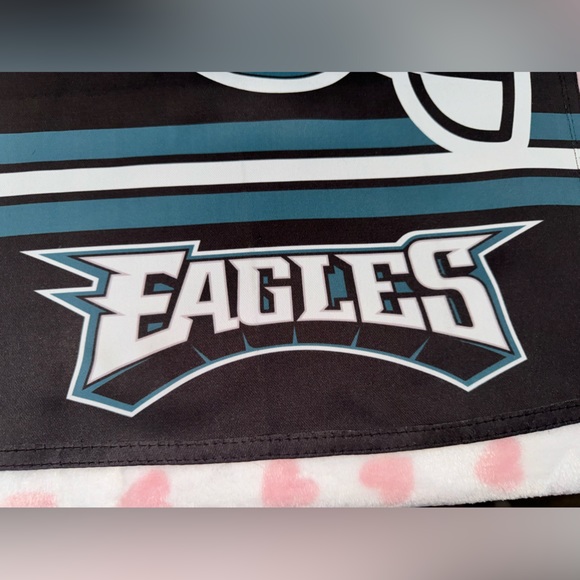 Philadelphia Eagles flag birds - Picture 4 of 4